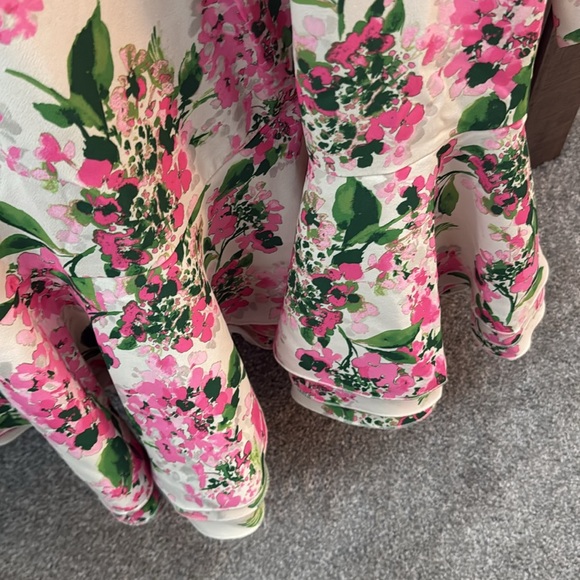 Tuckernuck Gossamer Pink Hydrangea Callahan Shirt Dress 
Size XXL - Picture 5 of 7